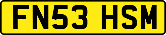 FN53HSM