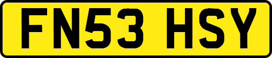 FN53HSY