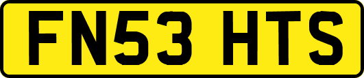FN53HTS