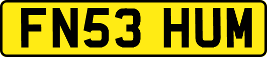FN53HUM