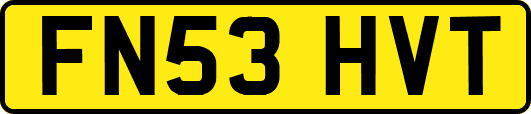 FN53HVT