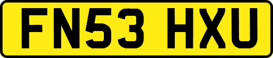 FN53HXU