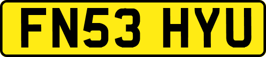 FN53HYU