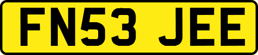 FN53JEE