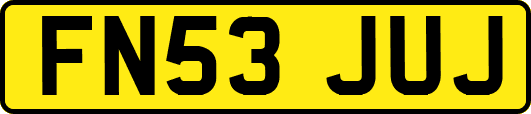 FN53JUJ