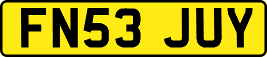 FN53JUY
