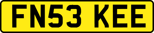 FN53KEE