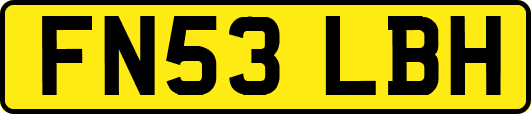 FN53LBH