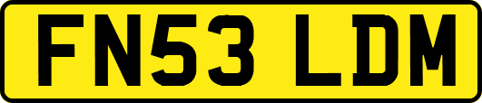 FN53LDM