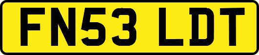 FN53LDT