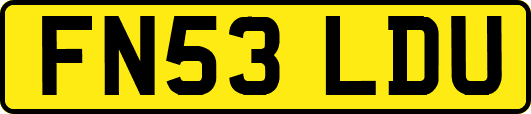 FN53LDU