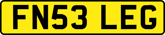 FN53LEG