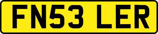 FN53LER