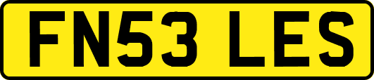 FN53LES