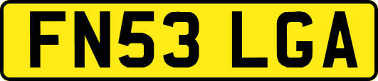 FN53LGA