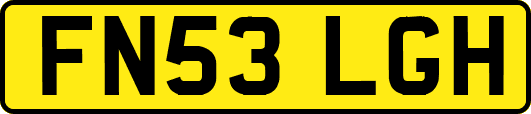FN53LGH