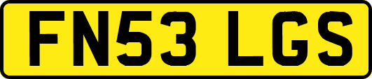 FN53LGS