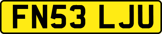 FN53LJU
