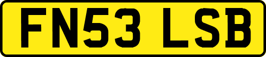 FN53LSB