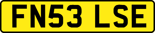 FN53LSE