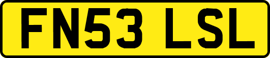 FN53LSL