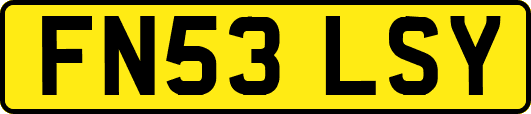 FN53LSY