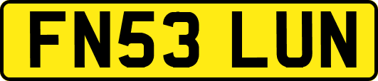 FN53LUN