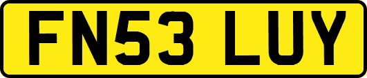 FN53LUY