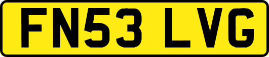 FN53LVG