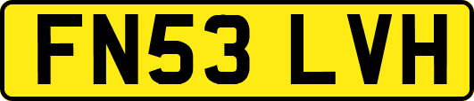 FN53LVH