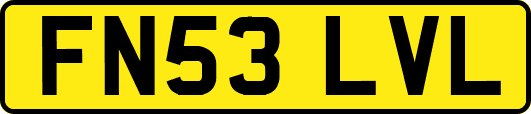 FN53LVL