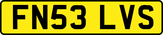 FN53LVS