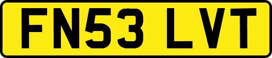 FN53LVT
