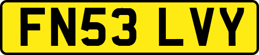 FN53LVY