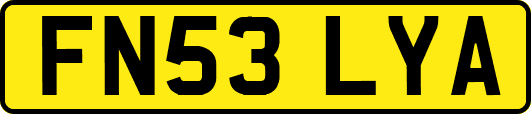 FN53LYA