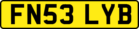 FN53LYB