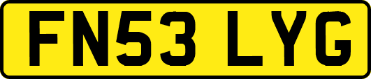 FN53LYG