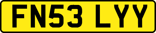 FN53LYY