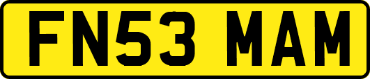 FN53MAM