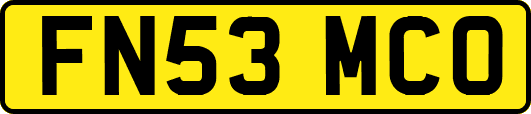 FN53MCO