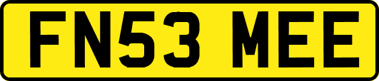 FN53MEE
