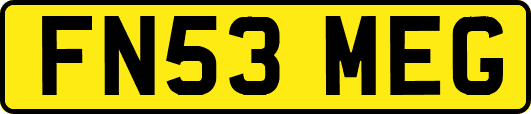 FN53MEG