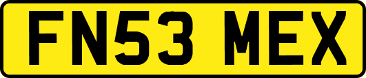 FN53MEX