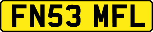 FN53MFL