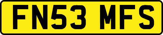 FN53MFS