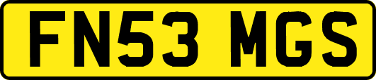 FN53MGS