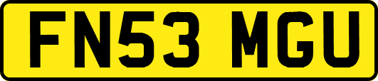 FN53MGU