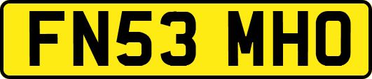 FN53MHO