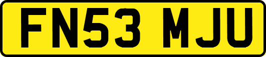 FN53MJU