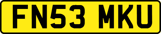 FN53MKU